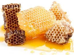 中蜂蜜和意蜂蜜的区别