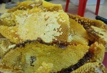 真正的天然蜂蜜的味道是什