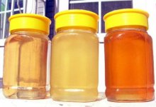 蜂蜜和蜂产品保质期的相关